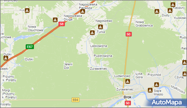 mapa Puzdrowizna, Puzdrowizna na mapie Targeo