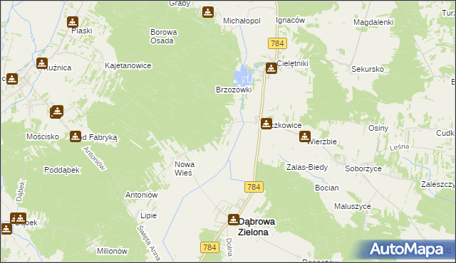 mapa Raczkowice-Kolonia, Raczkowice-Kolonia na mapie Targeo