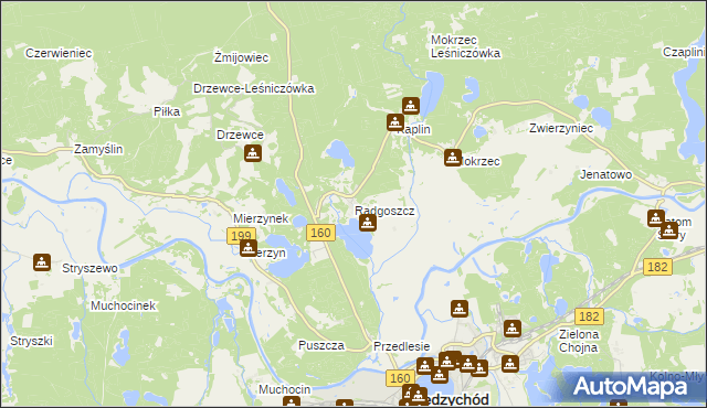 mapa Radgoszcz gmina Międzychód, Radgoszcz gmina Międzychód na mapie Targeo