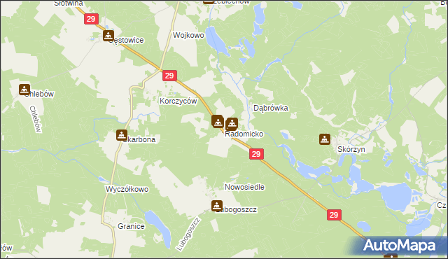 mapa Radomicko gmina Maszewo, Radomicko gmina Maszewo na mapie Targeo