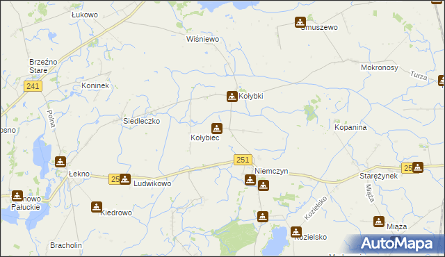 mapa Rakowo gmina Damasławek, Rakowo gmina Damasławek na mapie Targeo