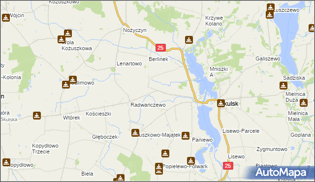 mapa Rakowo gmina Skulsk, Rakowo gmina Skulsk na mapie Targeo