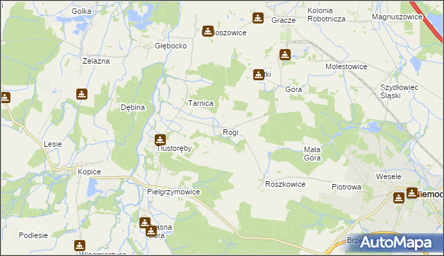 mapa Rogi gmina Niemodlin, Rogi gmina Niemodlin na mapie Targeo