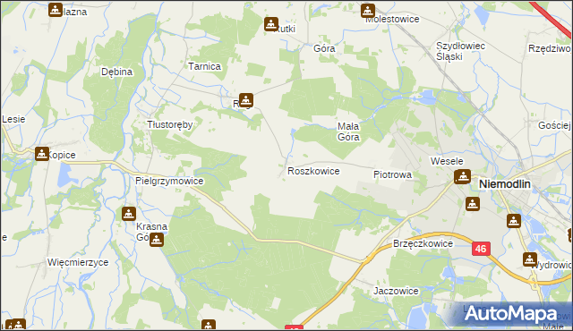 mapa Roszkowice gmina Niemodlin, Roszkowice gmina Niemodlin na mapie Targeo