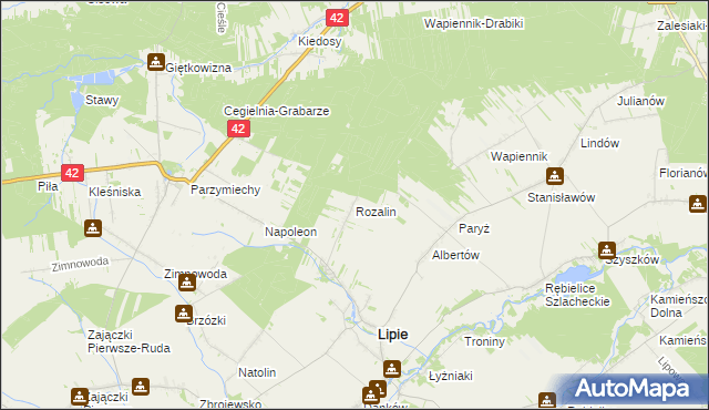 mapa Rozalin gmina Lipie, Rozalin gmina Lipie na mapie Targeo