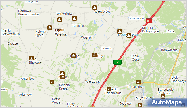 mapa Rożny, Rożny na mapie Targeo