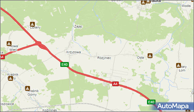 mapa Różyniec, Różyniec na mapie Targeo