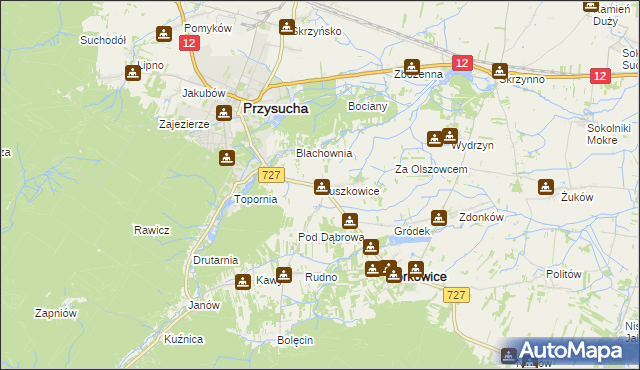 mapa Ruszkowice gmina Borkowice, Ruszkowice gmina Borkowice na mapie Targeo