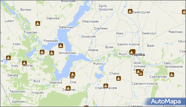 mapa Rybiny Leśne, Rybiny Leśne na mapie Targeo