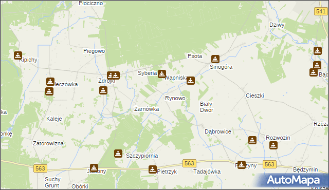 mapa Rynowo gmina Lubowidz, Rynowo gmina Lubowidz na mapie Targeo