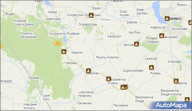 mapa Rysiny-Kolonia, Rysiny-Kolonia na mapie Targeo