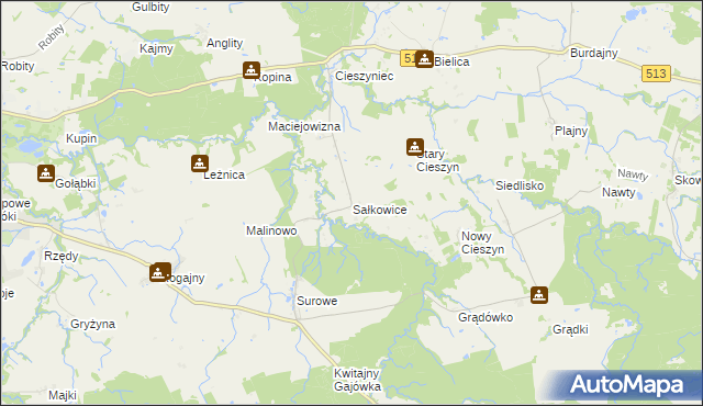 mapa Sałkowice, Sałkowice na mapie Targeo