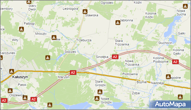 mapa Sinołęka, Sinołęka na mapie Targeo