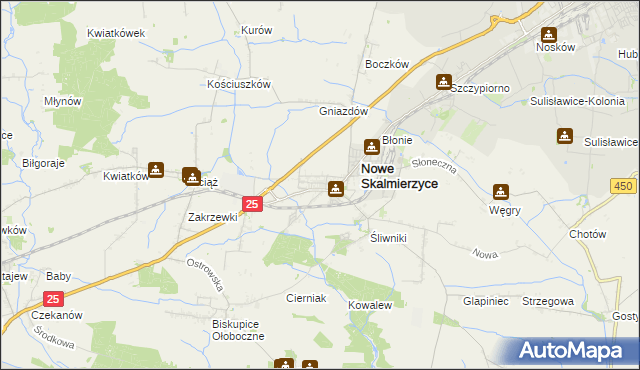 mapa Skalmierzyce, Skalmierzyce na mapie Targeo