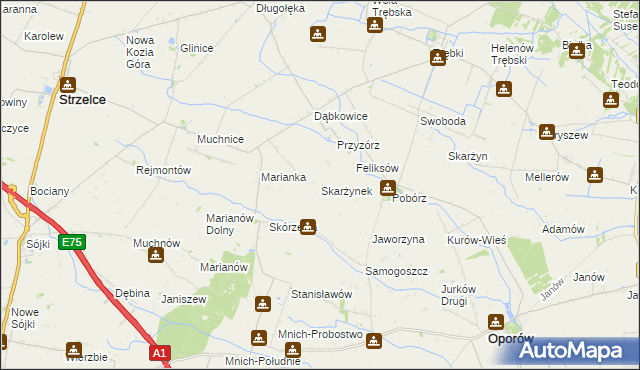 mapa Skarżynek gmina Oporów, Skarżynek gmina Oporów na mapie Targeo