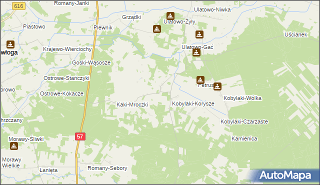 mapa Skierkowizna, Skierkowizna na mapie Targeo