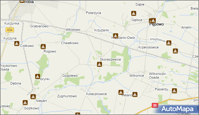 mapa Skoraszewice, Skoraszewice na mapie Targeo