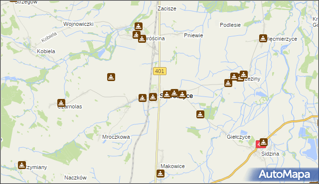 mapa Skoroszyce, Skoroszyce na mapie Targeo