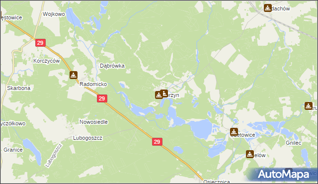 mapa Skórzyn gmina Maszewo, Skórzyn gmina Maszewo na mapie Targeo