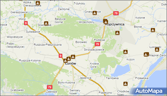 mapa Skrzypaczowice, Skrzypaczowice na mapie Targeo