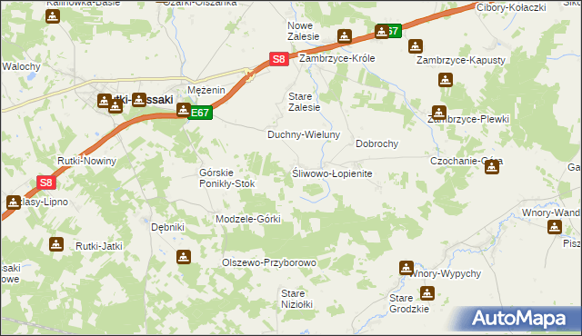 mapa Śliwowo-Łopienite, Śliwowo-Łopienite na mapie Targeo