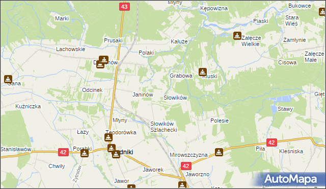 mapa Słowików gmina Rudniki, Słowików gmina Rudniki na mapie Targeo