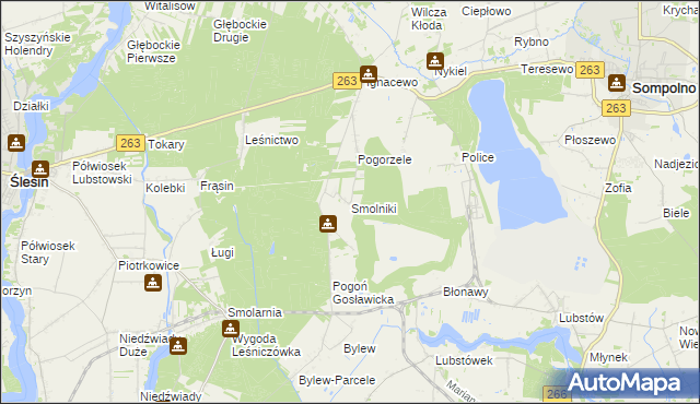 mapa Smolniki gmina Ślesin, Smolniki gmina Ślesin na mapie Targeo