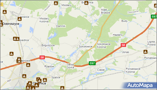 mapa Sokołowice gmina Oleśnica, Sokołowice gmina Oleśnica na mapie Targeo