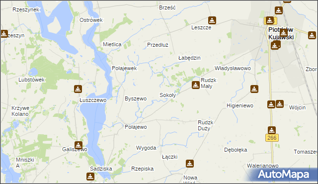 mapa Sokoły gmina Piotrków Kujawski, Sokoły gmina Piotrków Kujawski na mapie Targeo