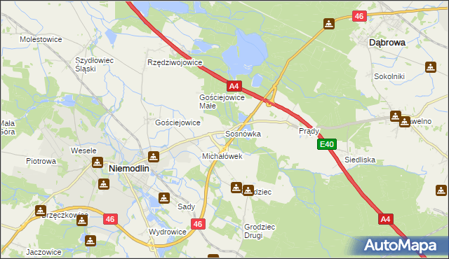 mapa Sosnówka gmina Niemodlin, Sosnówka gmina Niemodlin na mapie Targeo