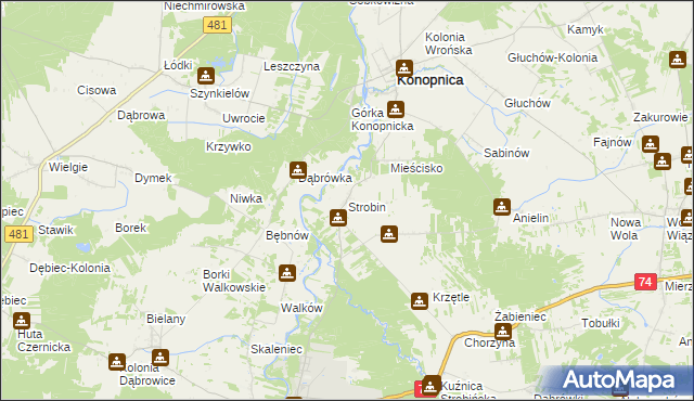 mapa Strobin, Strobin na mapie Targeo