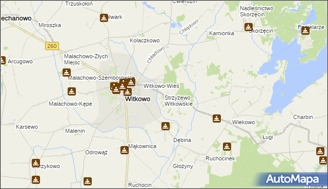 mapa Strzyżewo Witkowskie, Strzyżewo Witkowskie na mapie Targeo