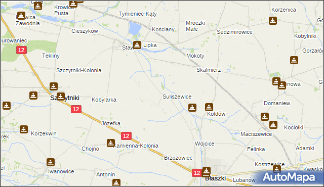 mapa Suliszewice gmina Błaszki, Suliszewice gmina Błaszki na mapie Targeo