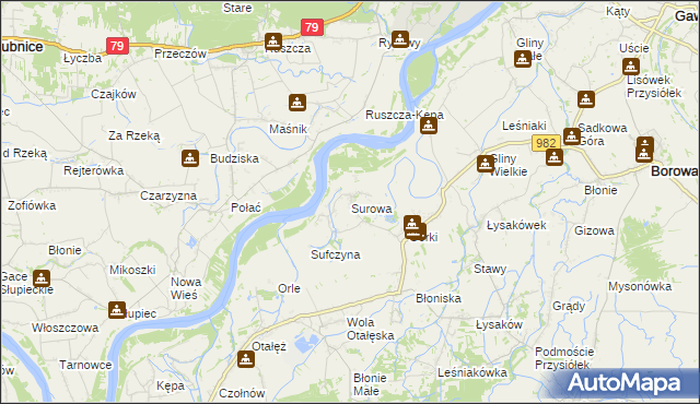 mapa Surowa gmina Borowa, Surowa gmina Borowa na mapie Targeo
