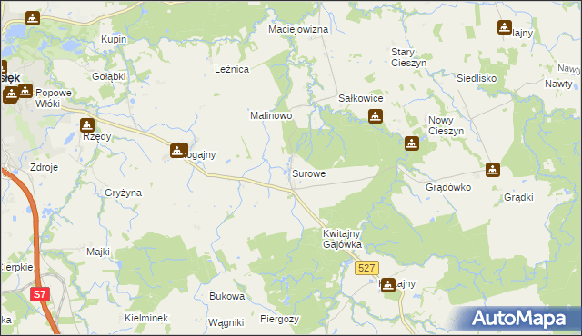 mapa Surowe gmina Pasłęk, Surowe gmina Pasłęk na mapie Targeo