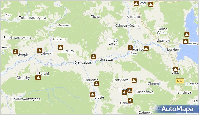 mapa Suszcza, Suszcza na mapie Targeo