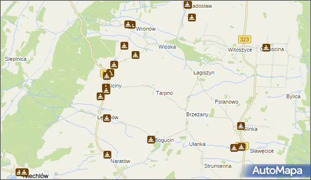 mapa Tarpno gmina Niechlów, Tarpno gmina Niechlów na mapie Targeo