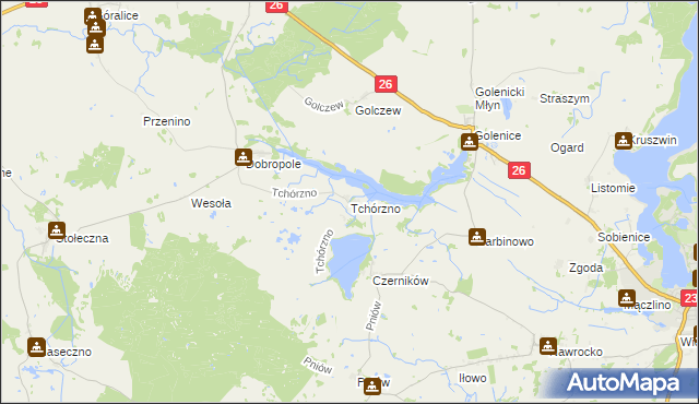 mapa Tchórzno, Tchórzno na mapie Targeo