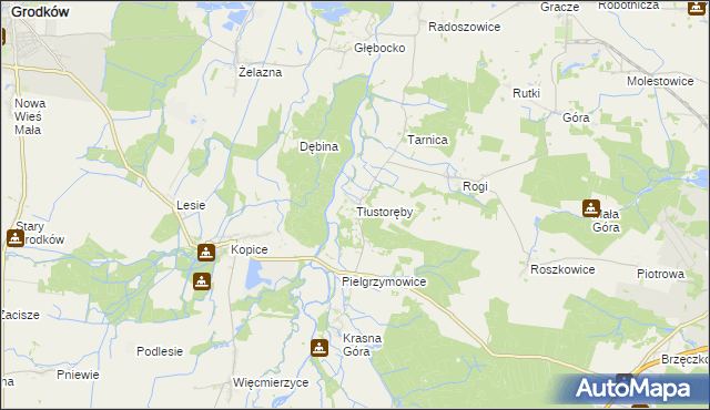 mapa Tłustoręby, Tłustoręby na mapie Targeo