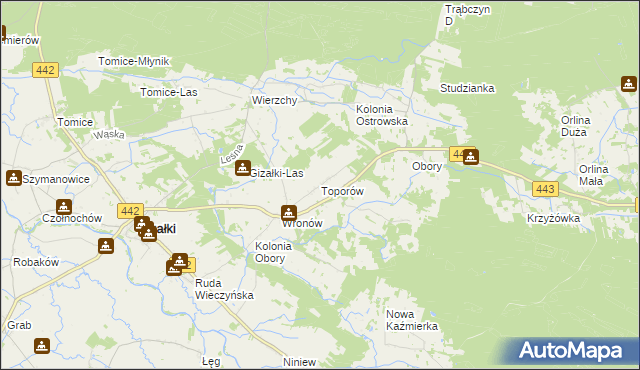 mapa Toporów gmina Gizałki, Toporów gmina Gizałki na mapie Targeo