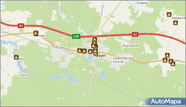 mapa Torzym, Torzym na mapie Targeo