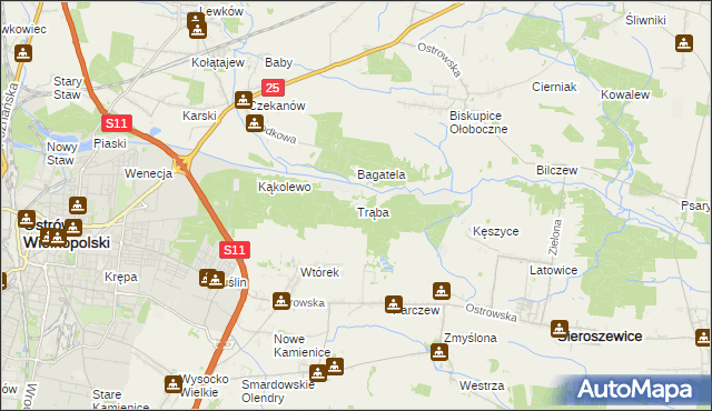 mapa Trąba, Trąba na mapie Targeo