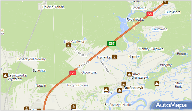 mapa Trzcianka gmina Brańszczyk, Trzcianka gmina Brańszczyk na mapie Targeo