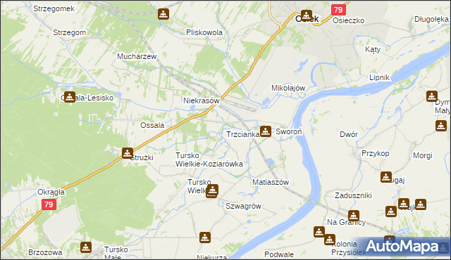 mapa Trzcianka gmina Osiek, Trzcianka gmina Osiek na mapie Targeo