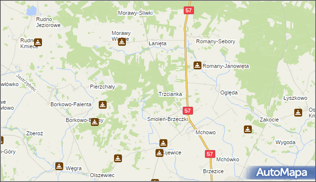 mapa Trzcianka gmina Przasnysz, Trzcianka gmina Przasnysz na mapie Targeo