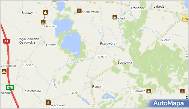 mapa Trzciano gmina Ryńsk, Trzciano gmina Ryńsk na mapie Targeo