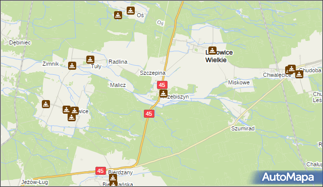 mapa Trzebiszyn gmina Lasowice Wielkie, Trzebiszyn gmina Lasowice Wielkie na mapie Targeo