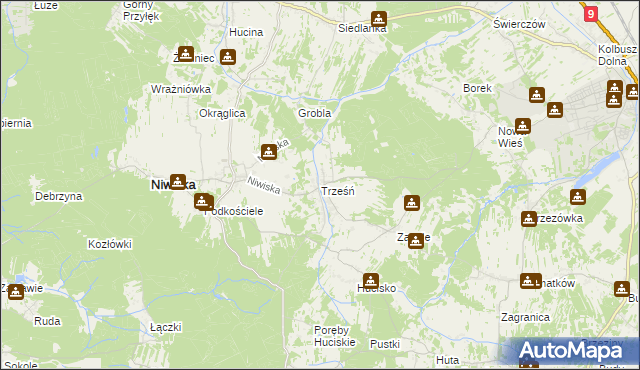 mapa Trześń gmina Niwiska, Trześń gmina Niwiska na mapie Targeo