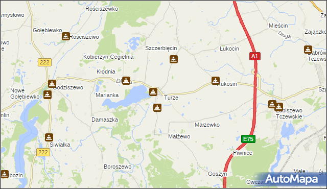 mapa Turze gmina Tczew, Turze gmina Tczew na mapie Targeo