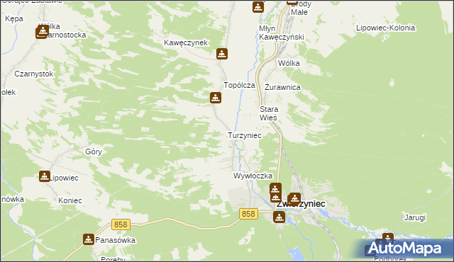 mapa Turzyniec gmina Zwierzyniec, Turzyniec gmina Zwierzyniec na mapie Targeo